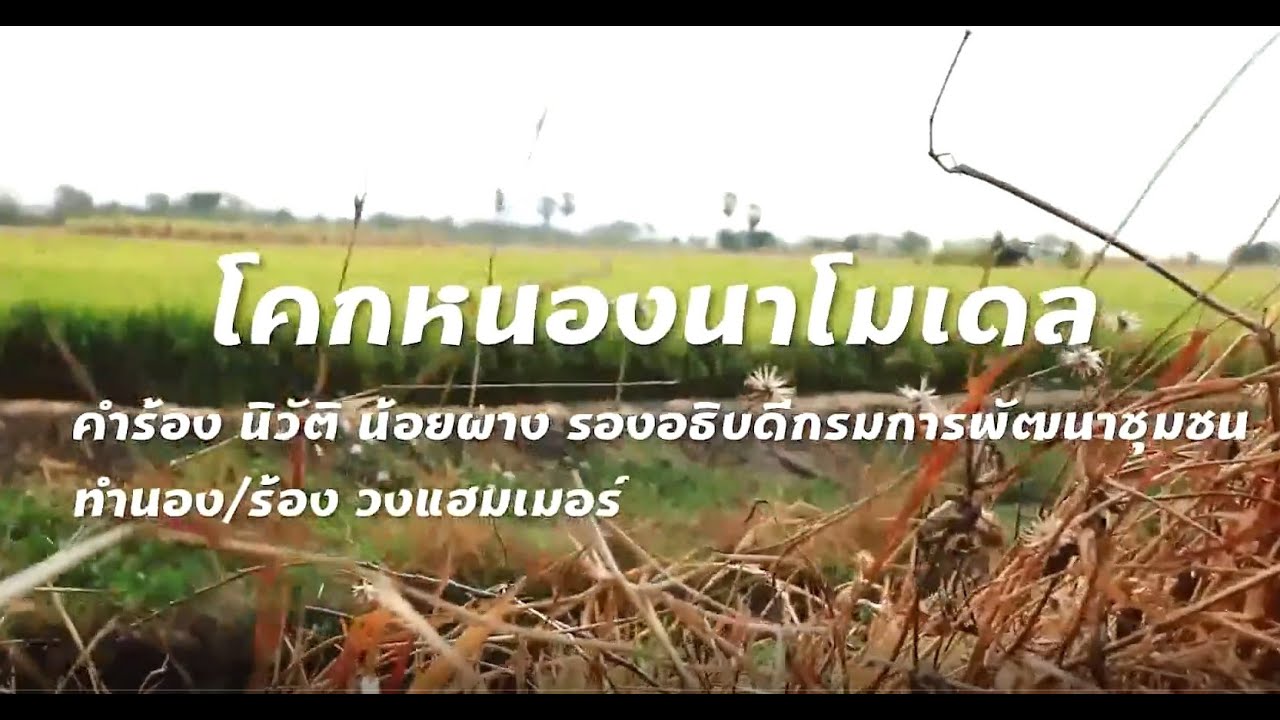 เพลงโคกหนองนาโมเดล