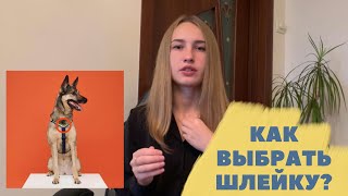 Как выбрать шлейку для собаки? | Амуниция для собак