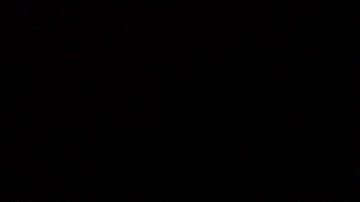 القارئ / عبدالعزيز بن محمد التركي