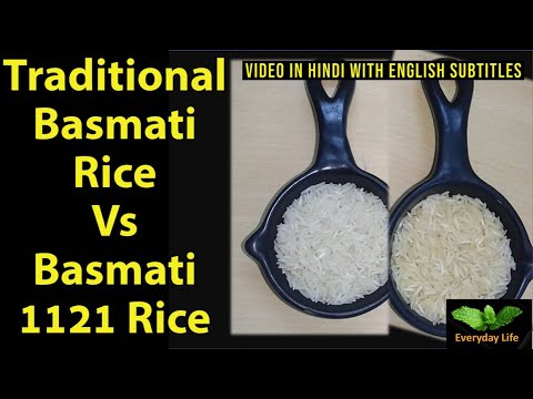 Difference between Traditional Basmati Rice and Basmati 1121 Rice | बासमती चावल