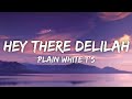 Capture de la vidéo Plain White T's - Hey There Delilah (Lyrics)