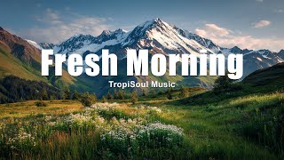 Download Lagu Fresh Morning 🌿 | Smooth Chill House \u0026 Happy Vibes Mix MP3