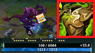 The Magic Of Warmogs Armor