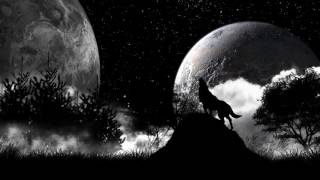 Wolf Wallpaper Progression online video cutter com 2 Wolf Wallpaper Progression online video cutter com 2