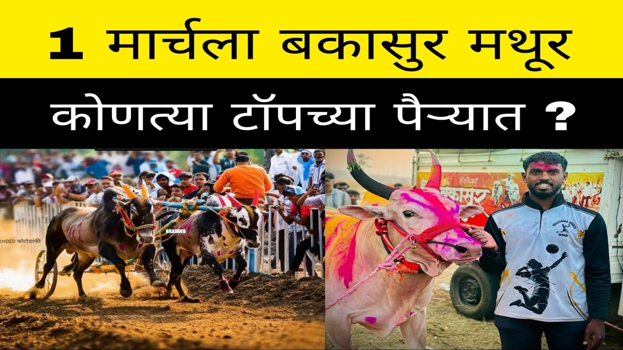 1 मार्च 2026 रोजी होणाऱ्या देवेंद्र फडणवीस केसरी मैदानात बकासुर आणि मथूर कोणत्या मोठ्या पैऱ्यात ?