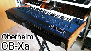 Oberheim OB-Xa Analog Synthesizer (1981) 