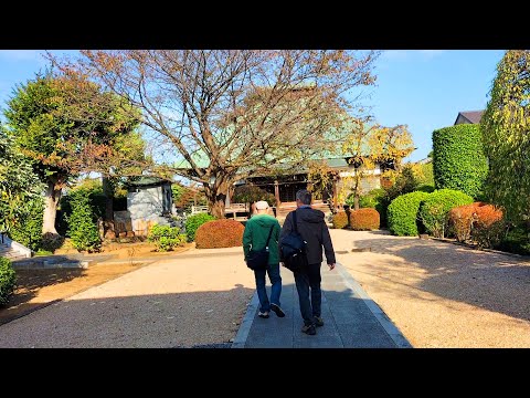 浄安寺 令和7年 2025年11月8日 みんなのアルバム