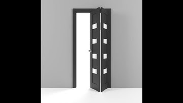 Quadro 4113 Matte Black Bi-Fold Door 3D visualization | UnitedPorte