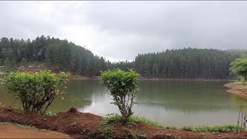 محمد رشاد الشريف سورة الأنفال 08 مصطفى غريب