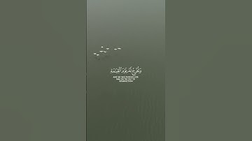 وَكُلَّ إِنسَٰنٍ أَلۡزَمۡنَٰهُ طَٰٓئِرَهُۥ فِي عُنُقِهِۦۖ… من سورة الإسراء #ياسر_الدوسري