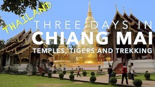 A comprehensive trip report from 3 and half day to chiang mai,
thailand