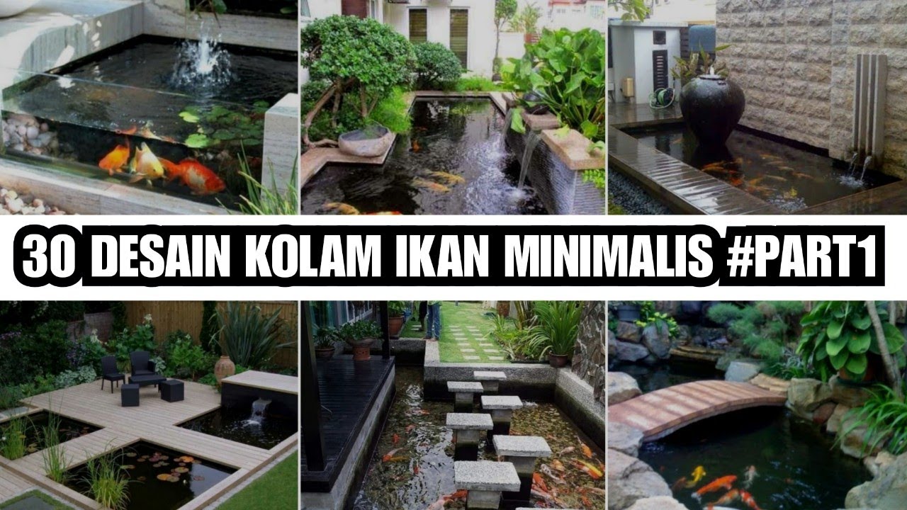 30 Desain  Kolam  Ikan  Minimalis Part1 YouTube