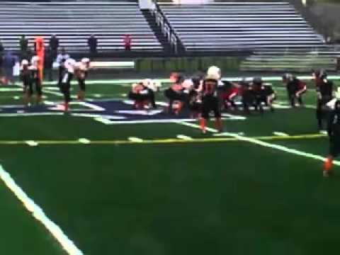 Windy City Dolphins Bowl Game Win Vs Falcons 2013