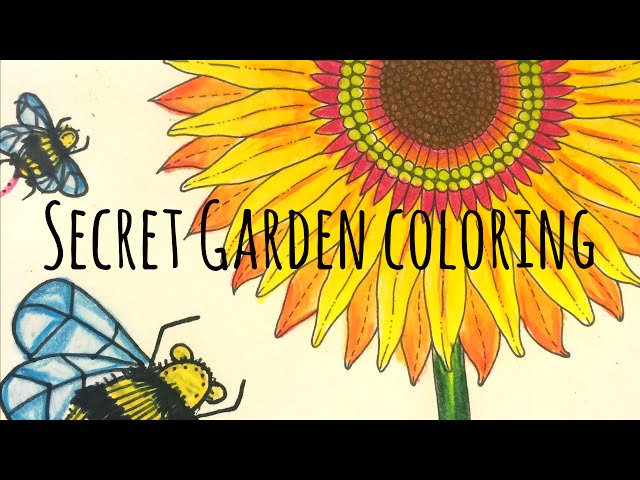 Adult Colouring Beneficial To Mental Health