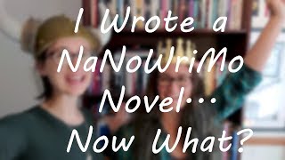 I Wrote a NaNoWriMo Novel... Now What