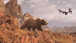 Funny video (Животные против квадрокоптера) Animals vs drone выпуск №29
