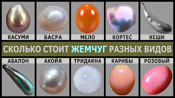 СКОЛЬКО СТОИТ ЖЕМЧУГ | ЦЕНА ЖЕМЧУГА РАЗНОГО ВИДА И ЦВЕТА | РЕДКИЙ ЖЕМЧУГ