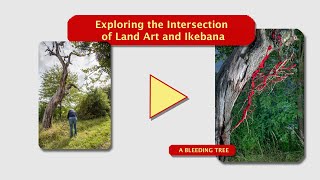 🔻Exploring the Intersection of Land Art and Ikebana🔻