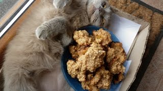 COOKING/Печенье для тонкой талии /желе на скорую руку #2 COOKING/Печенье для тонкой талии /желе на скорую руку #2