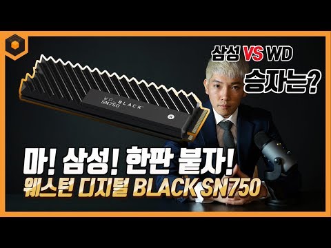 마! 삼성! 한판붙자! 웨스턴 디지털 3세대 BLACK! SN750