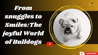 Bulldog's Loyalty: Tales of Devotion and Love by Animals World 4k 3,749 views 11 months ago 18 minutes