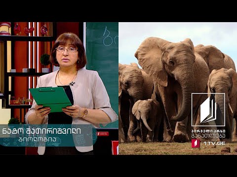 ბიოლოგია, IX კლასი - ევოლუცია #ტელესკოლა