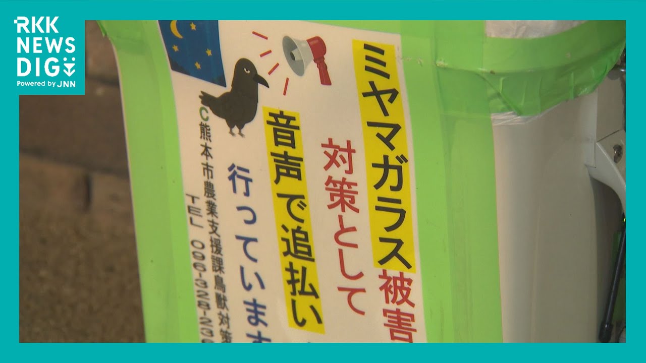 Avoid areas where crows drop, such as electric poles and under