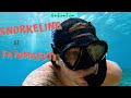 SEA TURTLES, CORAL REEFS, &amp; FISH | SNORKELING AT FATUMAFUTI, AMERICAN SAMOA | Drone Footage