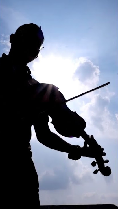 Tumhi dekho na violin