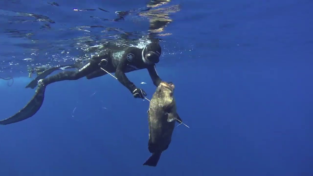 Pesca selectiva y respetuosa (el mero profundo)