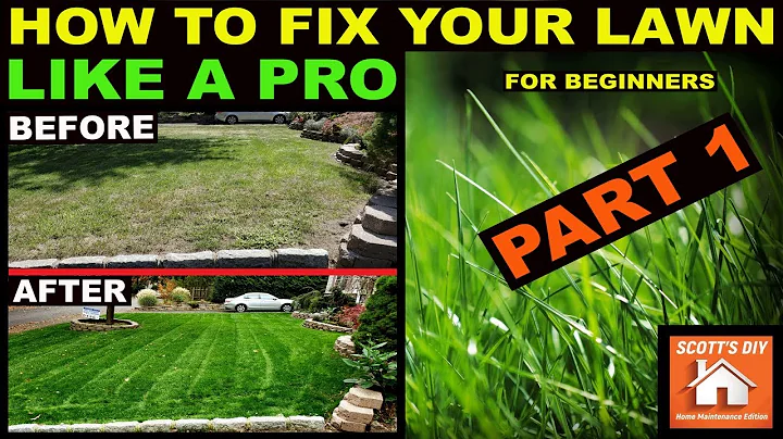 HOW TO FIX YOUR LAWN LIKE A PRO   Beginner Part 1