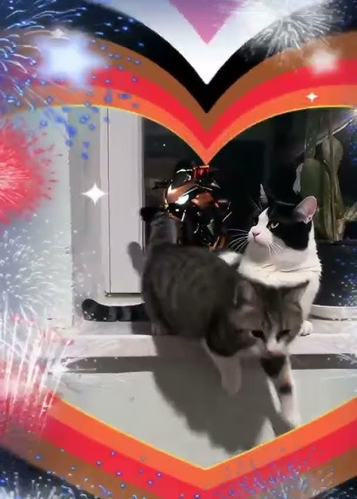 Ricky Rock -   Loan for Labuba  AI Shorts