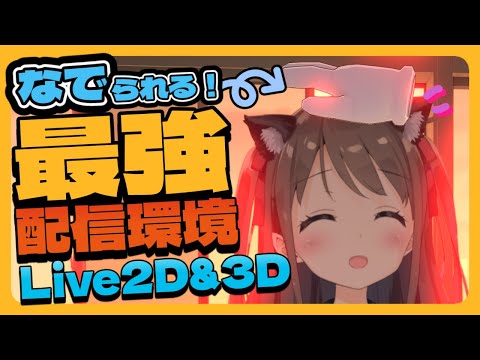 【Vtuber必見】Live2D、3D配信者向け！触れる配信にする方法【Warudo】