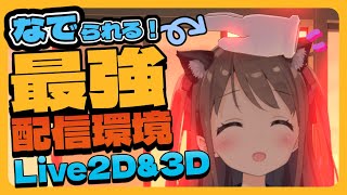 【Vtuber必見】Live2D、3D配信者向け！触れる配信にする方法【Warudo】