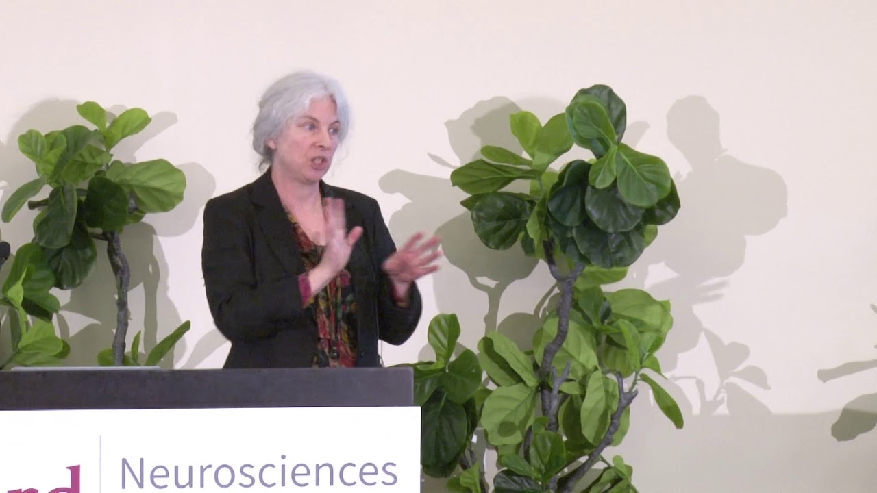 Neural Mechanisms of Insect Navigation