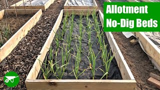 How to Make No-Dig Beds