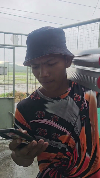 Download lagu Aray kooo hahaha #funny