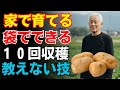 【発見】ベランダでジャガイモを“無限栽培”！年中買わずに楽しむ方法【家庭菜園】【初心者歓迎】
