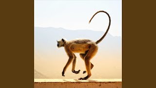 Download Lagu Monkey Spinning Monkeys Download Lagu Monkey Spinning Monkeys
