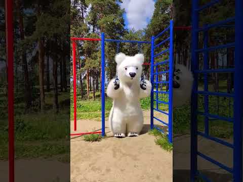 Вот это да 🔥Белый мишка спортсмен! Как считаете сложно выступать в надувном костюме медведя? #shorts