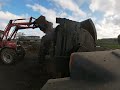 MUCK SPREADING JANUARY 2024 WITH MASSEY FERGUSON 390T + MARSHALL 105-LOADING WITH MF 390-RAW SOUND