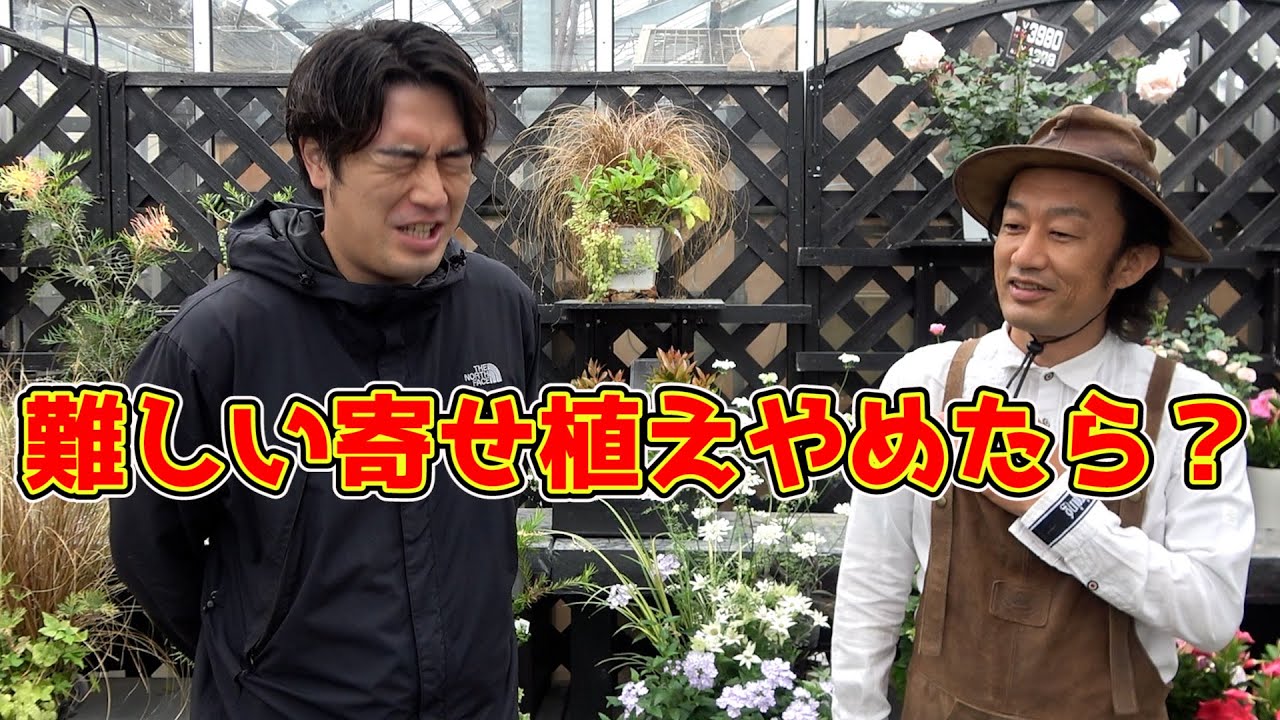 寄せ植えが上手にできない初心者にカーメン君からのアドバイス【じゅん