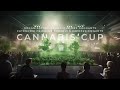 Les 420 problmes dune cannabis cup  russir avec les techniques des vainqueurs et lorganisation