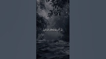 سورة النمل بلال دربالي