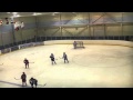 Toronto Eagles Minor Peewee AA 2000