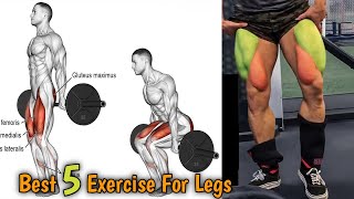 Leg Workout Men | Leg Workout For Men | Leg Workout At Gym