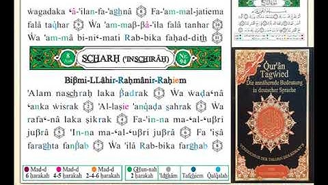 ختمة من مصحف التجويد باللغة الألمانية الصفحة رقم 596