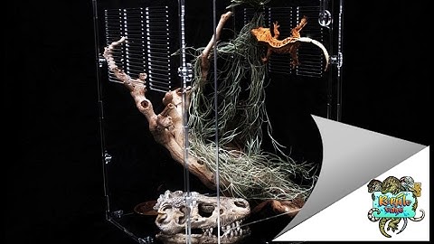 Acrylic Excellence- Repti-Ledge Acrylic Reptile Enclosures/ Terrariums