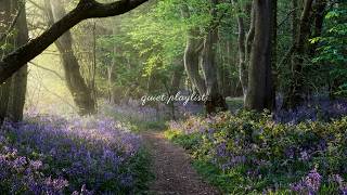 Cozy Spring Vibes  quiet Piano Playlist For Relaxing U0026 Reading