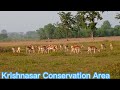 Krishnasar conservation area bardiya nepal  bizarre nep  natural vlog